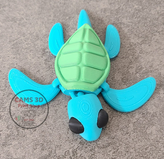 Mr. Blue Turtle