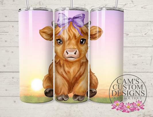 Lil Miss Highland Cow